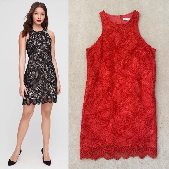 NEW Babaton Henry dress - Picture 1 of 8